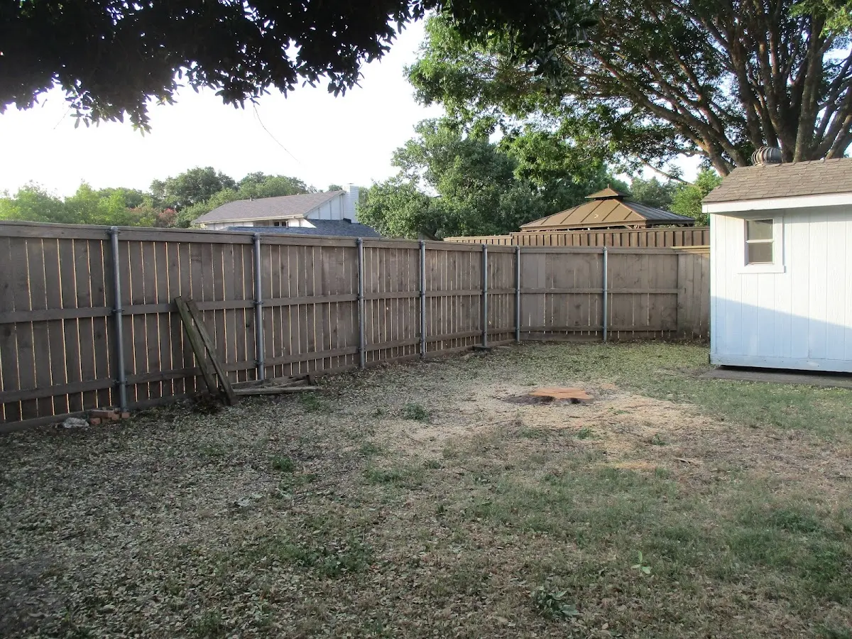 Cleared yard after professional tree removal in Paulsboro